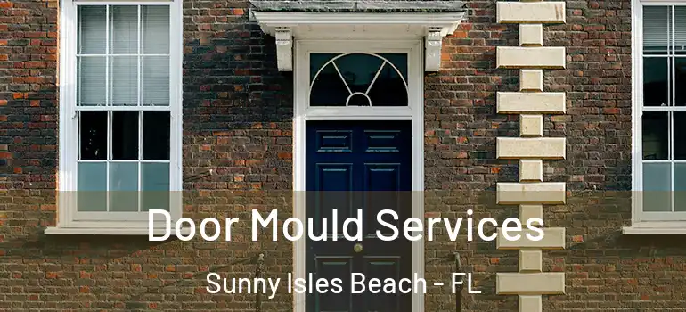  Door Mould Services Sunny Isles Beach - FL