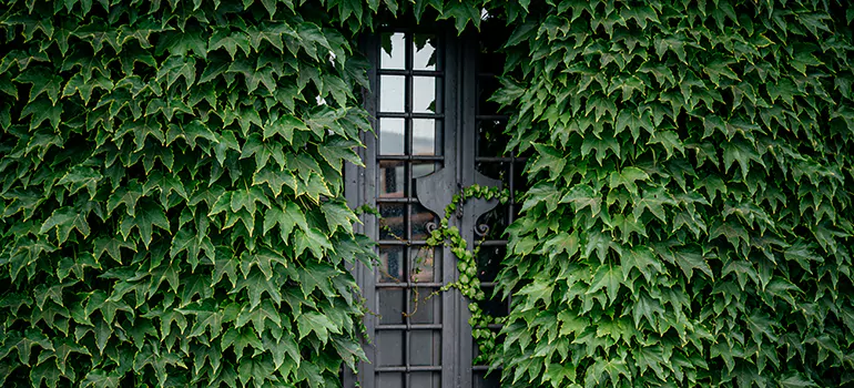 Garden Gate Repair in Sunny Isles Beach, FL