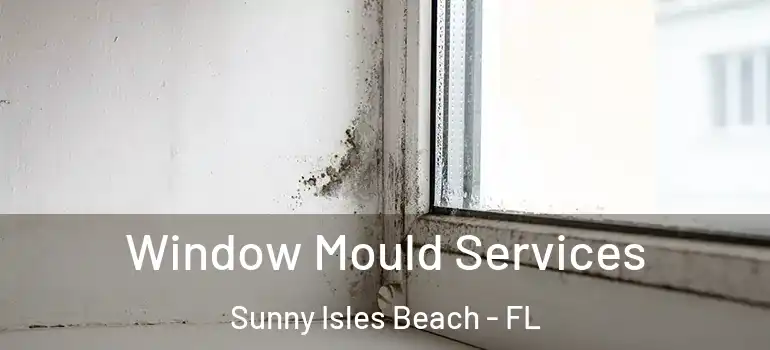  Window Mould Services Sunny Isles Beach - FL